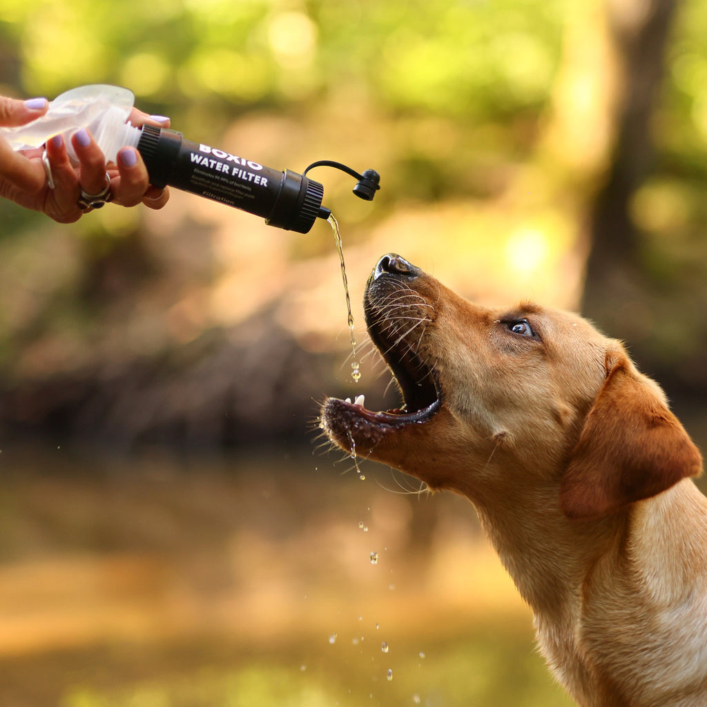 Wasserfilter Outdoor I BOXIO WATER FILTER SYSTEM